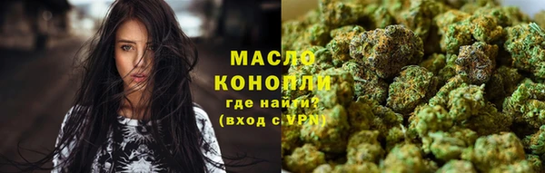 сатива Армянск