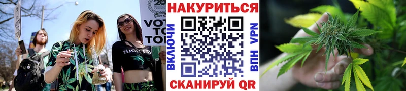 цена наркотик  Багратионовск  Бошки Шишки OG Kush 